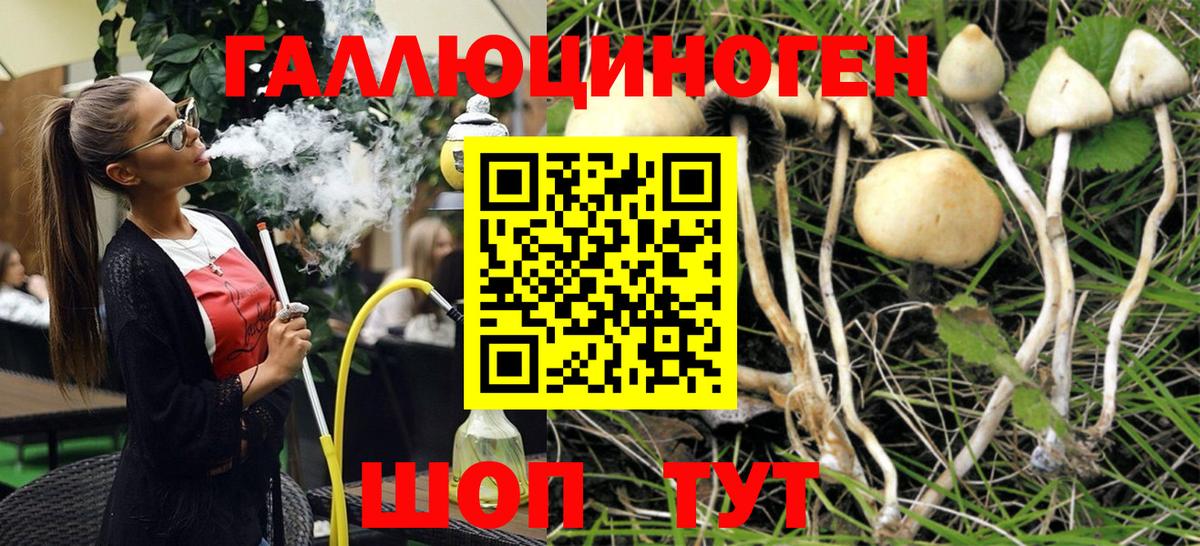 Псилоцибиновые грибы MAGIC MUSHROOMS Ахтубинск